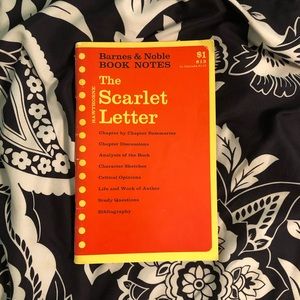 The Scarlet Letter Book Notes